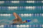 Women's Swimming & Diving  Wheaton College Women’s Swimming & Diving vs Mount Holyoke College. - Photo by Keith Nordstrom : Wheaton, Swimming & Diving